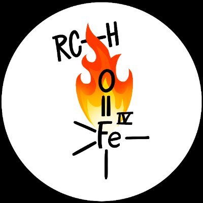 Borovik Lab Profile