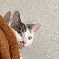 Hyype (@getthyype) 's Twitter Profile