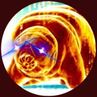 Trader Tardigrade(@TATrader_Alan) 's Twitter Profile Photo