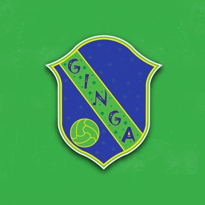 Official account of Ginga FS | Cincinnati's first and only professional futsal club | #Ginga #AzulEsverdeado