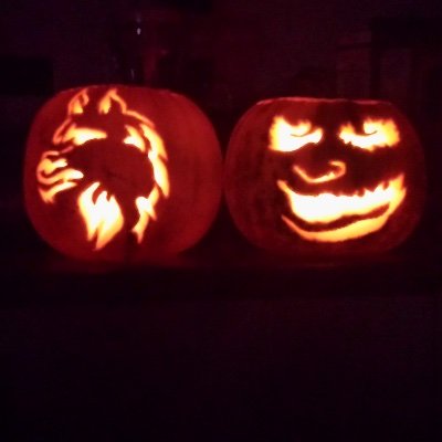 Rhys08840666's profile picture. 