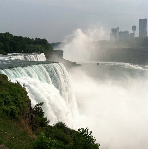 TDFinkle's profile picture. 一款稳定好用的翻墙工具
无限流量，免费试用!➡️ https://t.co/u30WARBn6f