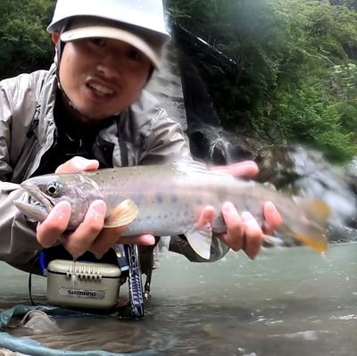 ただの凡人が川では釣竿を振り、山では鉄砲を撃ったりと日々精進しています。キノコや山菜も微かに採ります。日々の思ったことを呟きます。YouTubeで【山とアウトドア（冒険チャンネル）】やってます。YouTubeで生計をたてるのが我が夢なり
＃バイク ＃釣り ＃狩猟 #キャンプ ＃アウトドア #源流 #本流