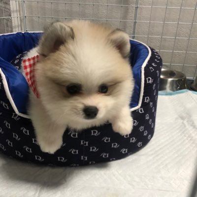 tanachaimilk's profile picture. สาวอ้วน สาวใหญ่ 👌🥰