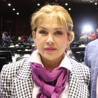 Diputada Federal Electa Cd. de México Dtto 12/PRD… Mujer por serlo…