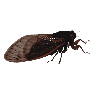 SANGRlENTAS's profile picture. ⠀ ⠀ ⠀ ⠀ ⠀ ⠀ ⠀ ⠀ ⠀ ⠀ ⠀ ⠀ ⠀ ⠀ ⠀ ⠀ ⠀ ⠀ ⠀ ⠀ ⠀ ⠀ ⠀ ⠀ ⠀ ⠀ ⠀ ⠀ ⠀ ⠀ ⠀ ⠀ ⠀ ⠀⠀⠀⠀⠀ ⠀ ⠀ ⠀ ⠀ ⠀ ⠀ ⠀ ⠀ ⠀ ⠀ ⠀ ⠀ ⠀ ⠀ ⠀ ⠀⠀ ⠀ ⠀⠀ ⠀ ⠀ ⠀ ⠀⠀ ⠀ ⠀ ⠀ ⠀ ⠀ ⠀ ⠀ ⠀ ⠀⠀ ⠀ ⠀ ⠀ ⠀ ⠀ ⠀⠀⠀ ⠀ ⠀ ⠀ ⠀