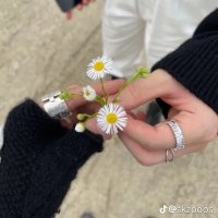 sarah | seeing skz in chicago 2025!!! (@hyunlixbias_d) 's Twitter Profile