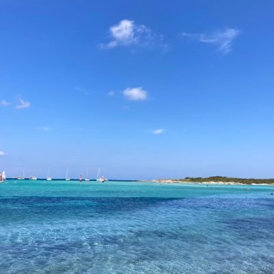 fvanderkamp's profile picture. 