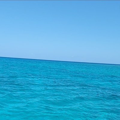 MsGettingitdone's profile picture. A bibliophile, a nurturer n lover, a goofball, and one who is not to be fucked with.  I'm a perfectly imperfectly work-n-progress.