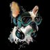 Marcone (@marconeantelius) Twitter profile photo Marcone (@marconeantelius) Twitter profile photo