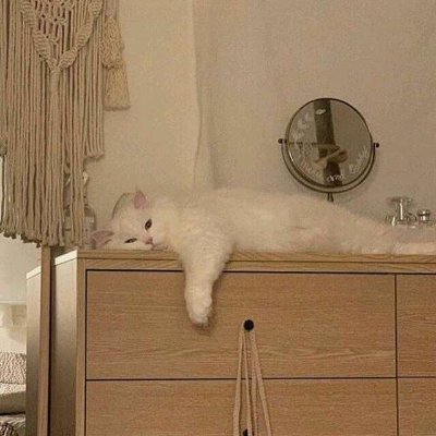 WHITE0374523928's profile picture. 
