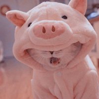a (@aheisjuiehx) 's Twitter Profile Photo a (@aheisjuiehx) 's Twitter Profile Photo
