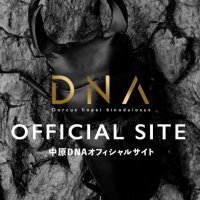 うえさん［中原DNA］ (@ue_s) 's Twitter Profile