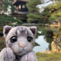 ぱる子🌻 (@yoncham_re) 's Twitter Profile