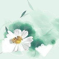 Cc (@chirpjoyful) 's Twitter Profile