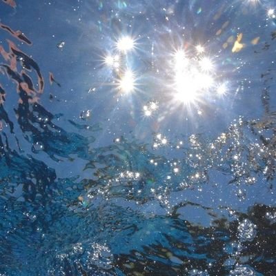 2Scua's profile picture. 몽베베