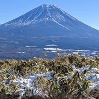 タマちゃん (@akiko29553658) 's Twitter Profile
