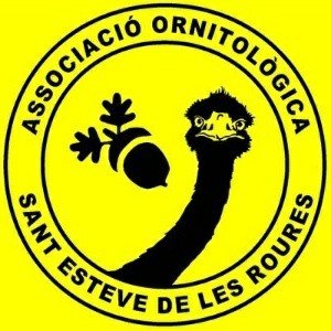 Observant passerells, mussols, estruços i altra fauna autòctona de St.Esteve de les Roures des de 1974. Quan no mirem ocells, ens agrada fer l'humor.