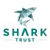 The Shark Trust (@SharkTrustUK) Twitter profile photo