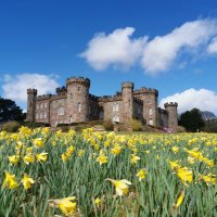 Cholmondeley Castle Gardens(@CholmondeleyCas) 's Twitter Profile Photo