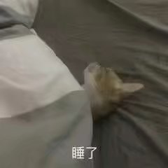 knkgmさんのプロフィール画像