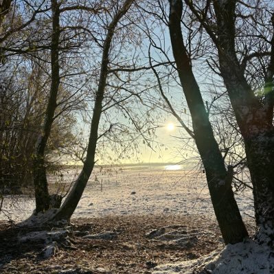 MLT6007's profile picture. General News Weather