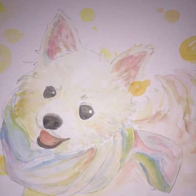 サーフがメインの週末アングラーのオッさんです🤣ホームは遠州灘🎣 愛犬のポメラニアン♀など、ぼちぼちUPしています!釣り🐟好きな方と繋がりたいです‼️釣り友募集中😆プロ野球はドラゴンズファンです⚾️