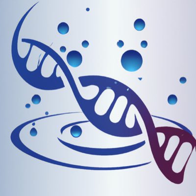 We are interested in understanding DNA replication and Genomic Instability through molecular genetics and genomics.