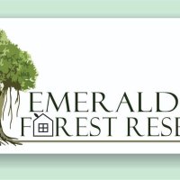 Emerald Forest(@EmeraldForest20) 's Twitter Profile Photo