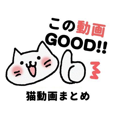 猫の動画をツイートしています！