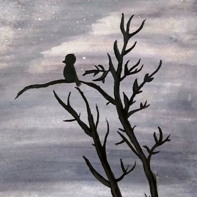 MehtabAlam002's profile picture. Keen learner