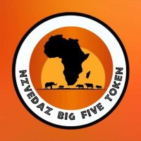 Nqobani Mkhize (@nqobanimkhize) 's Twitter Profile