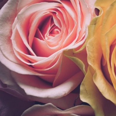 majyu20254's profile picture. 大事な局面で花を贈ることで
周りと差がつきます✿
経営者として当たり前の水準を高くしていくことが成功に繋がります✿
フラワーギフト✿