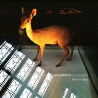 Boa Morte(@BoaMorteBand) 's Twitter Profile Photo