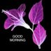 Akash kumar (@prabha54572802) Twitter profile photo Akash kumar (@prabha54572802) Twitter profile photo