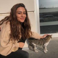 Bernacer (@bernaceer) Twitter profile photo