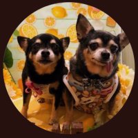 華原朋美 (@kahalatomomi_tk) 's Twitter Profile
