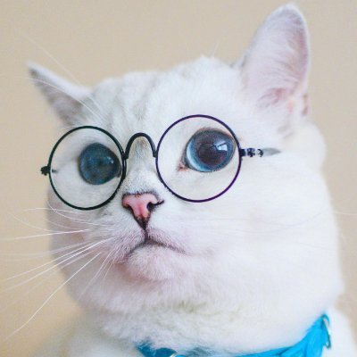 I tweet stuff. 🏳️⚧️ She/Her
Bluesky: https://t.co/ZNjlQUes8K