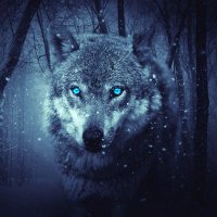 Marc Le Phalus (@marcphalus) 's Twitter Profile