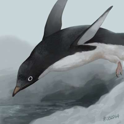 #0B2D64さんのプロフィール画像