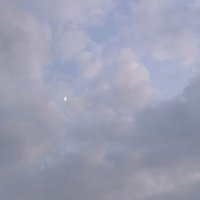 wangkk172333 (@wangkk172333) 's Twitter Profile