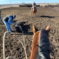 Colter Powell (@colterpowell) 's Twitter Profile