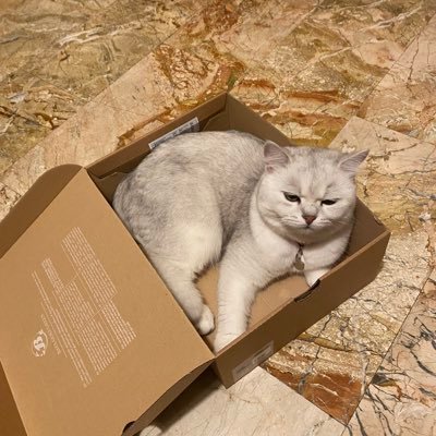 Leonard27765218's profile picture. Hi, enjoy the ride i guess