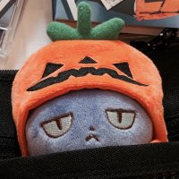 나리 (@cicccnv) 's Twitter Profile