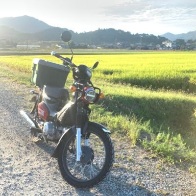 tabikuma77's profile picture. 