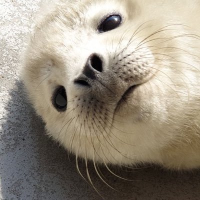 망햇다さんのプロフィール画像