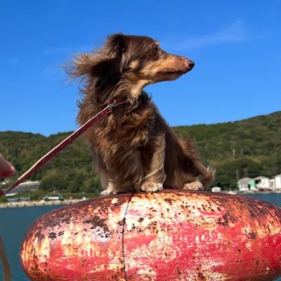 プライベート用がなくて不便なので作りました！寺田です！本物です！信じて下さい！