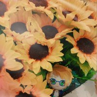 ゆうもぺ (@makotoyuukun) 's Twitter Profile
