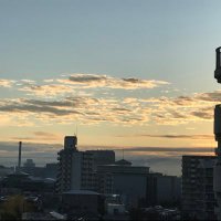 気まぐれスイマー② (@avan2911free) 's Twitter Profile