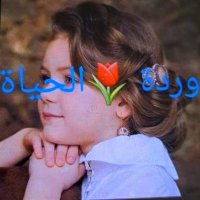 وردة الحياة (@wrdly27876610) 's Twitter Profile